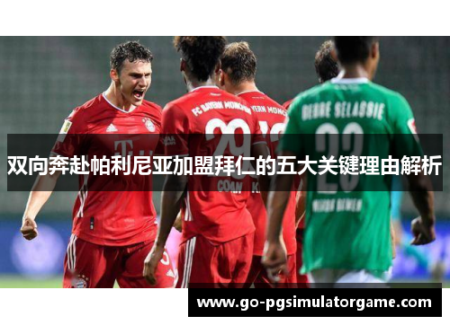 双向奔赴帕利尼亚加盟拜仁的五大关键理由解析