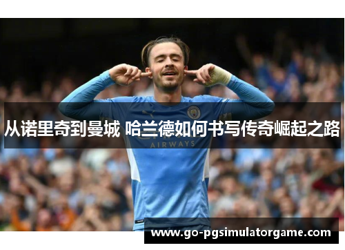 从诺里奇到曼城 哈兰德如何书写传奇崛起之路