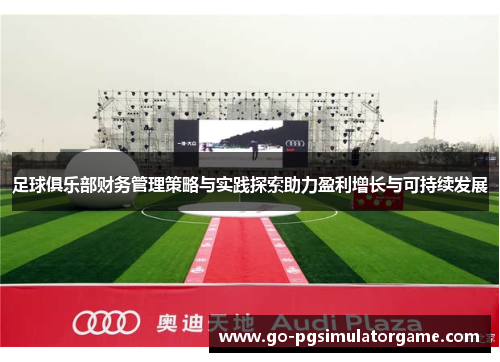 足球俱乐部财务管理策略与实践探索助力盈利增长与可持续发展
