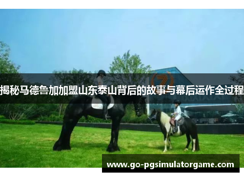 揭秘马德鲁加加盟山东泰山背后的故事与幕后运作全过程