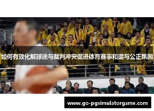 如何有效化解球迷与裁判冲突促进体育赛事和谐与公正氛围