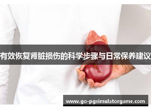 有效恢复肾脏损伤的科学步骤与日常保养建议