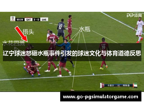 辽宁球迷怒砸水瓶事件引发的球迷文化与体育道德反思