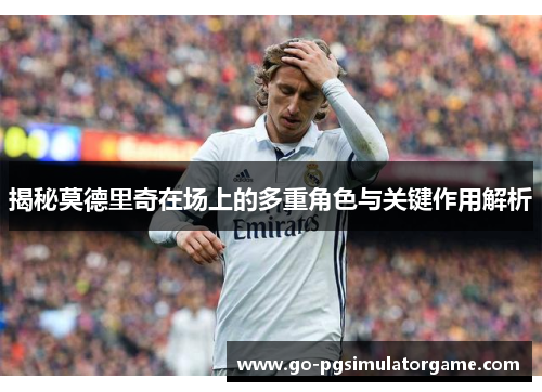 揭秘莫德里奇在场上的多重角色与关键作用解析