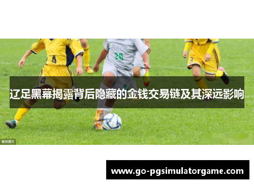 辽足黑幕揭露背后隐藏的金钱交易链及其深远影响