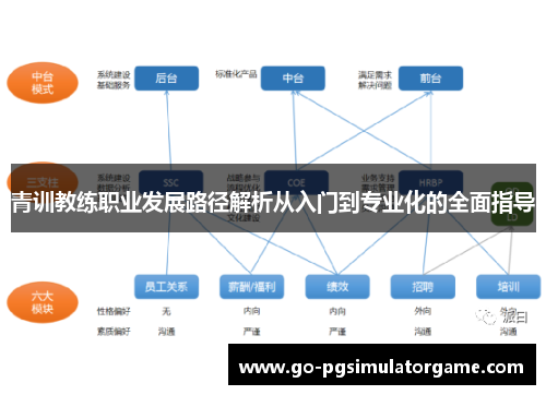 青训教练职业发展路径解析从入门到专业化的全面指导