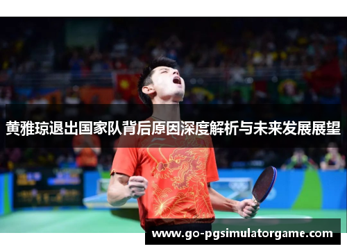 黄雅琼退出国家队背后原因深度解析与未来发展展望