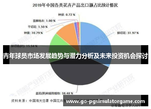 青年球员市场发展趋势与潜力分析及未来投资机会探讨